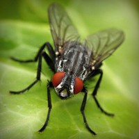 /album/adcomtilechea/photolia-a01-jpg/