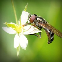 /album/adcomtilechea/photolia-a02-jpg/