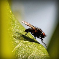 /album/adcomtilechea/photolia-a04-jpg/