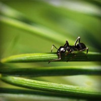 /album/adcomtilechea/photolia-a05-jpg/