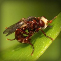 /album/adcomtilechea/photolia-a06-jpg/