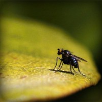 /album/adcomtilechea/photolia-a07-jpg/