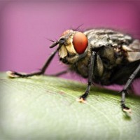 /album/adcomtilechea/photolia-a08-jpg/